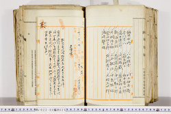 明い022020250002.jpg