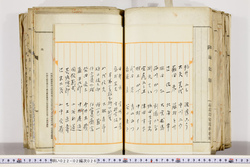 明い022020260004.jpg
