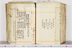 明い022020260006.jpg