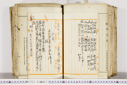 明い022020270002.jpg