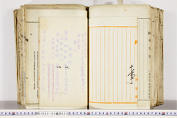 明い022020280002.jpg