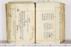 明い022020290002.jpg