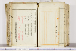 明い022020370002.jpg