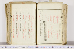 明い022020370003.jpg