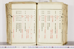 明い022020370004.jpg