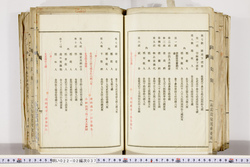明い022020370007.jpg