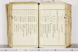 明い022020370008.jpg