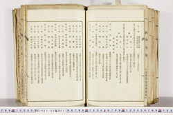 明い022020370009.jpg