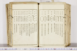 明い022020370010.jpg