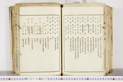 明い022020370011.jpg
