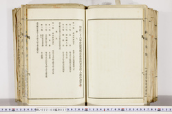 明い022020370016.jpg