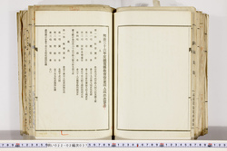 明い022020370017.jpg