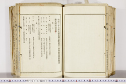 明い022020370018.jpg