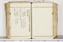 明い022020370019.jpg