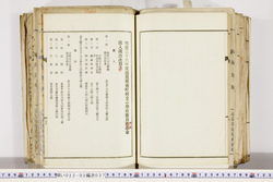 明い022020370020.jpg