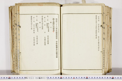 明い022020370021.jpg