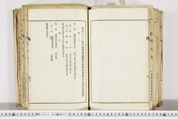 明い022020370022.jpg