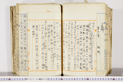 明い022020380019.jpg