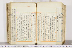 明い022020380023.jpg