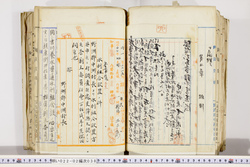 明い022020380025.jpg