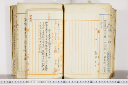 明い022020390003.jpg