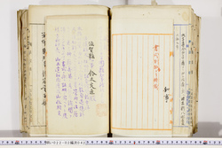 明い022020420002.jpg