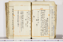 明い022020440002.jpg