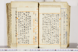 明い022020440005.jpg