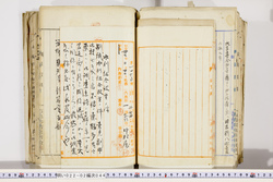 明い022020440012.jpg