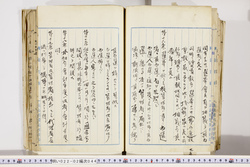 明い022020440022.jpg