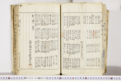 明い022020440036.jpg