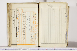 明い022020440037.jpg