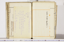 明い022020510002.jpg