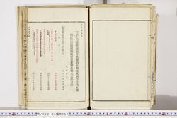 明い022020520011.jpg