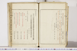 明い022020520012.jpg