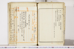 明い022020520026.jpg