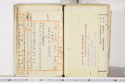明い022020530004.jpg