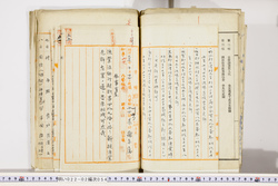 明い022020540004.jpg