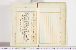 明い023010010005.jpg