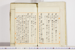 明い023010030005.jpg