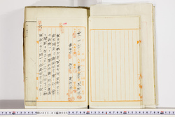 明い023010050003.jpg