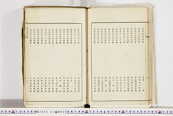 明い023010090011.jpg