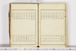 明い023010090024.jpg
