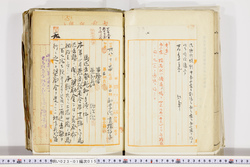 明い023010150002.jpg