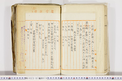 明い023010160004.jpg
