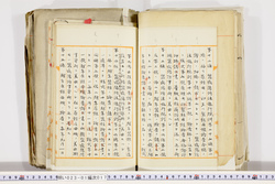 明い023010170006.jpg