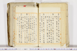 明い023010170010.jpg