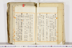 明い023010180003.jpg