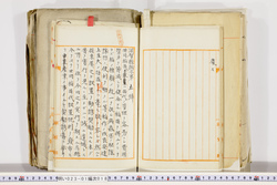 明い023010180004.jpg