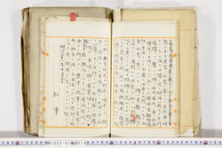 明い023010180005.jpg